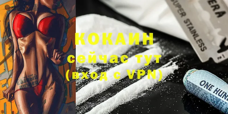 Cocaine Fish Scale  MEGA как войти  Правдинск 