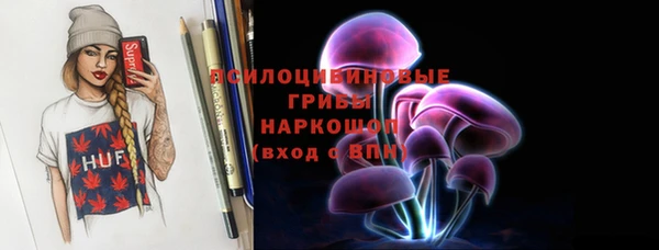 спиды Краснослободск
