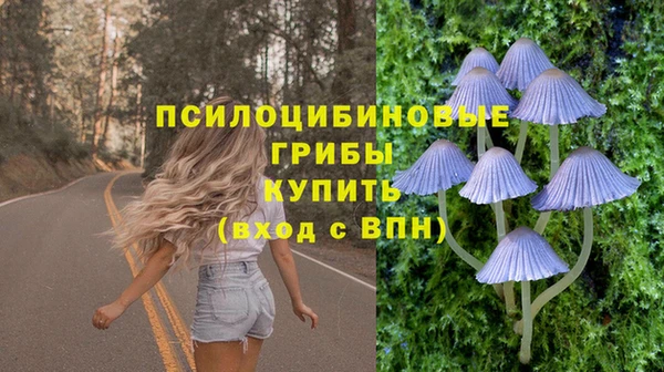дживик Краснотурьинск