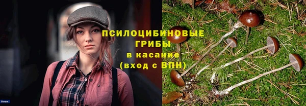 спиды Краснослободск