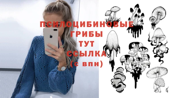 ECSTASY Красноперекопск