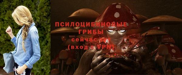 ECSTASY Красноперекопск