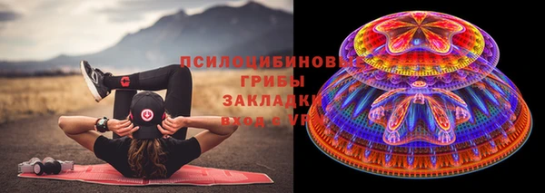 спиды Краснослободск